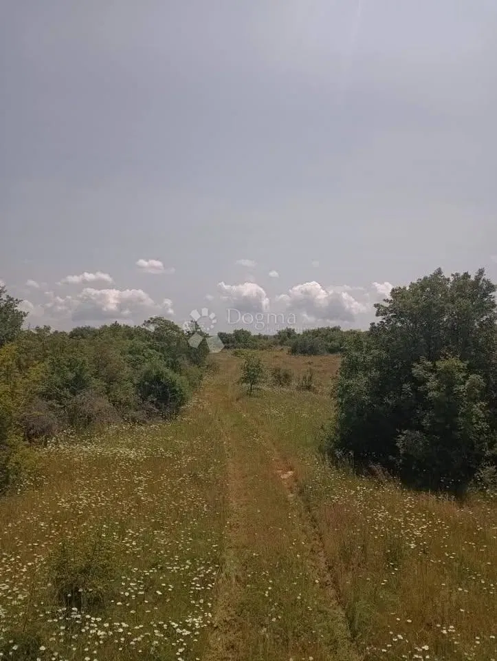 Agricultural Land 47760m2 - Krmed – 3