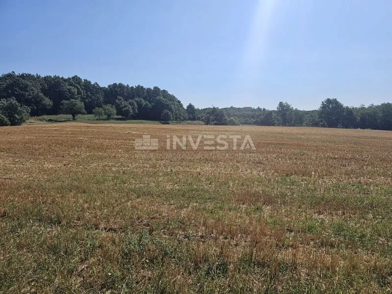Pazin, działka mieszana budowlano-rolna 36.582 m² – 2
