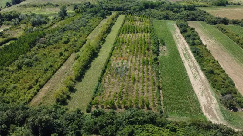 Non-structural plot Vukovina, Velika Gorica - Okolica, 13,94m2 – 2