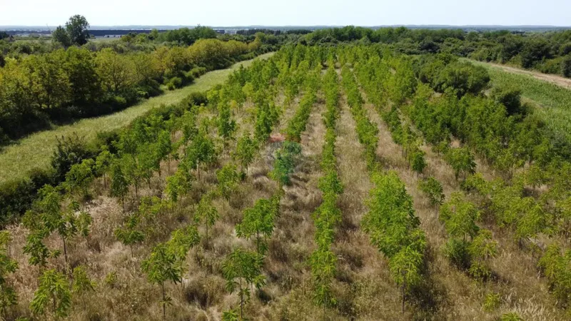 Non-structural plot Vukovina, Velika Gorica - Okolica, 13,94m2 – 3