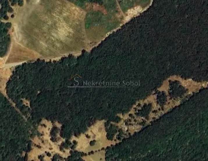 Punta Kriza, Island Cres - Forest, 39779 m2 – 2