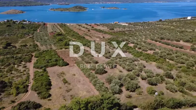 ZADAR, TURANJ - Olive grove with 55 olive trees - 3143m² – 2