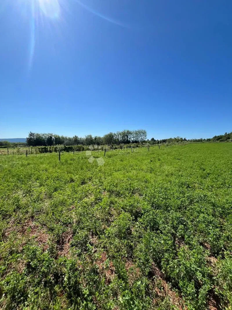 Building land Barban, 2.998m2 – 2