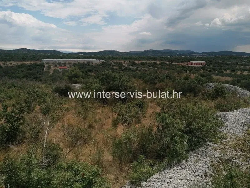 .::: Agricultural land area of ​​5,962m2 :::. – 2
