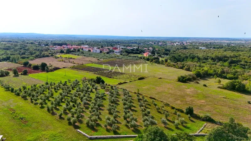 Działka Umag – 3
