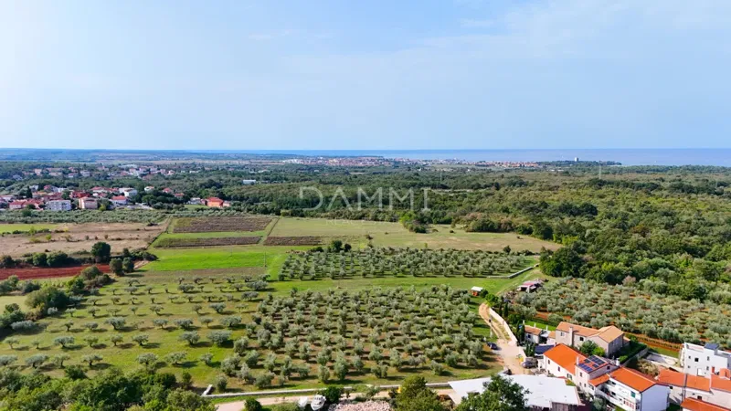 ISTRA, UMAG - Building land 3 km from the sea – 2