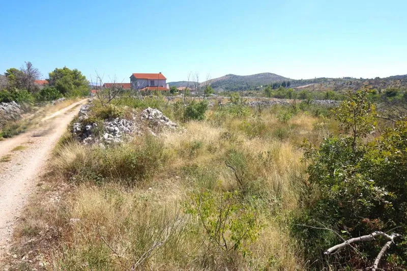 Terreno Zaton – 2