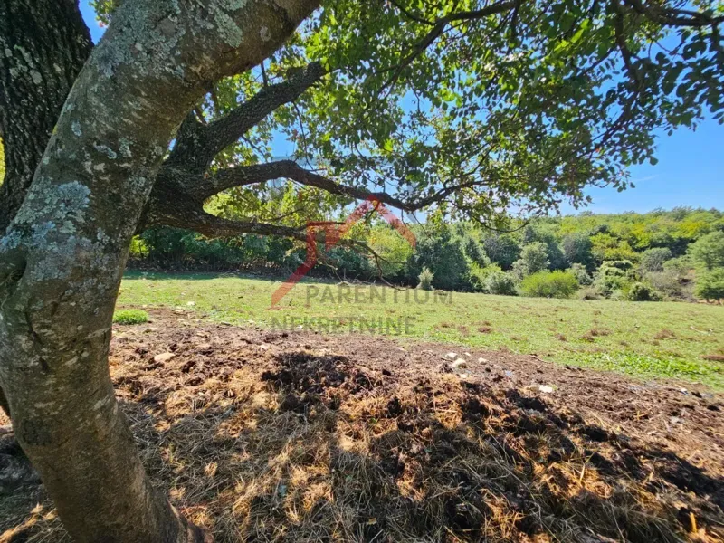 Building land for building a house in a quiet location – 2