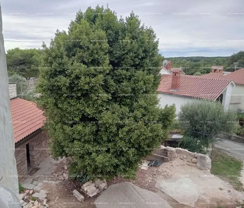 In vendita casa con cantina in fase di ristrutturazione, Krnica! – 2