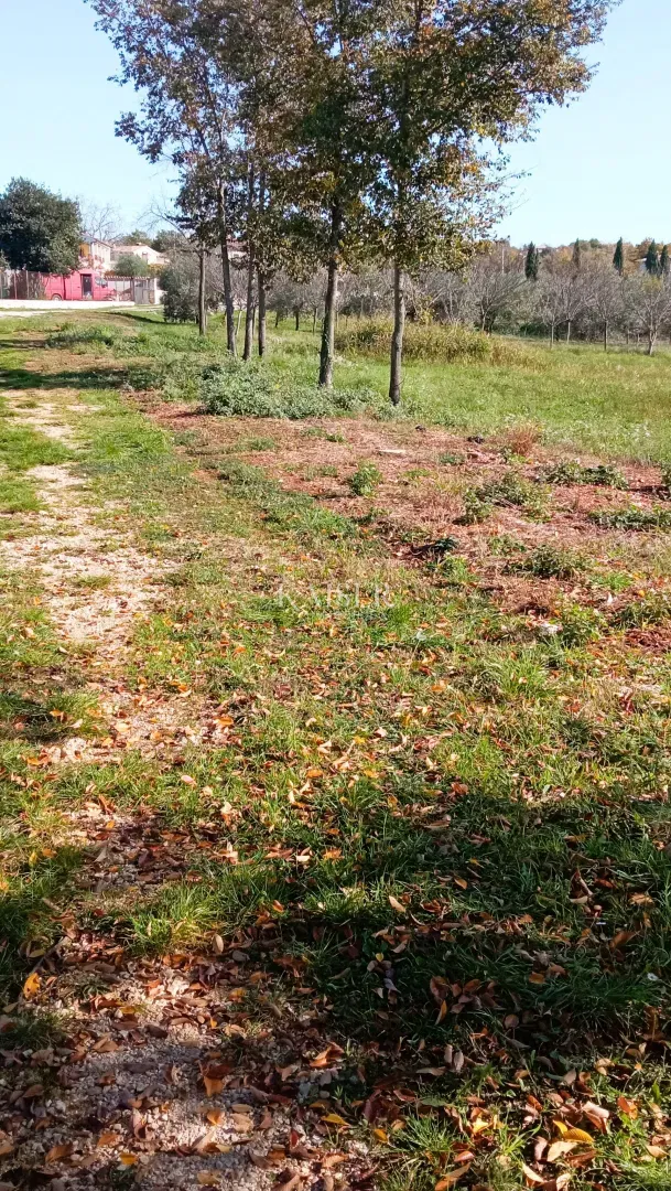 Istria, Baderna - agricultural land 15,300m² with fruit trees – 2