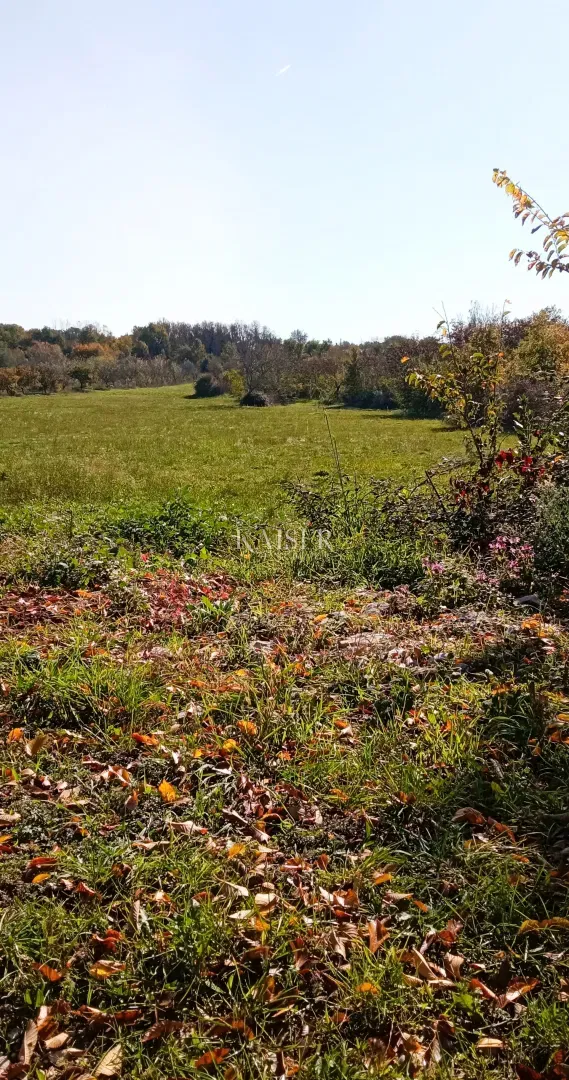 Istria, Baderna - agricultural land 15,300m² with fruit trees – 3