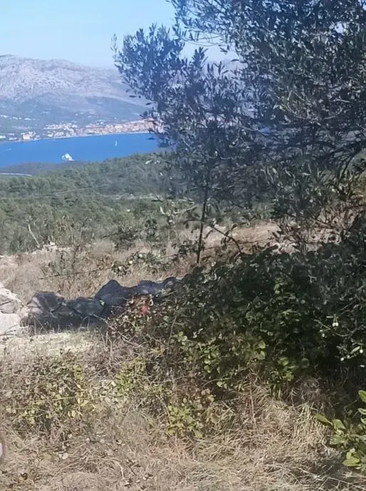 Agricultural land Žrnovo, Korčula, 2.190m2 – 2