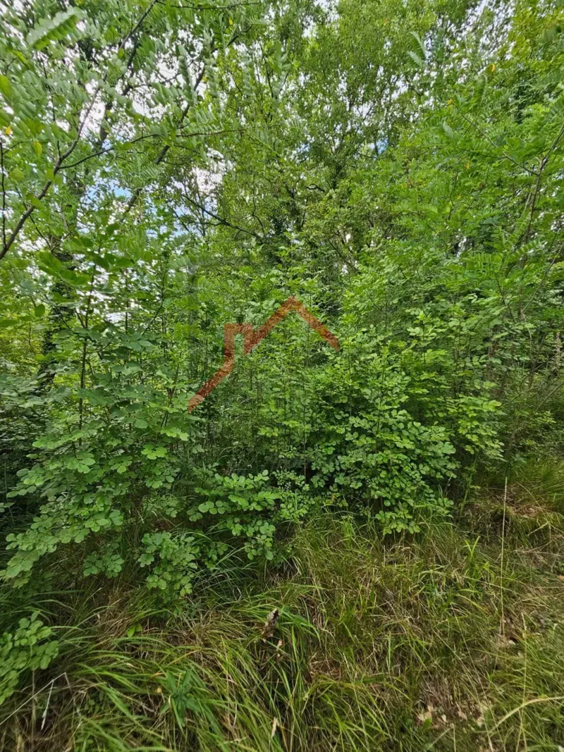 Building land – 2