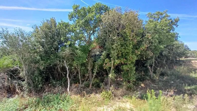 Pozemok Barbariga – 3