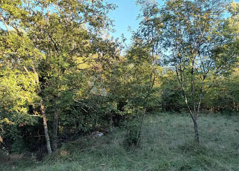 Mezőgazdasági terület Kastav, 9.199m2 – 2