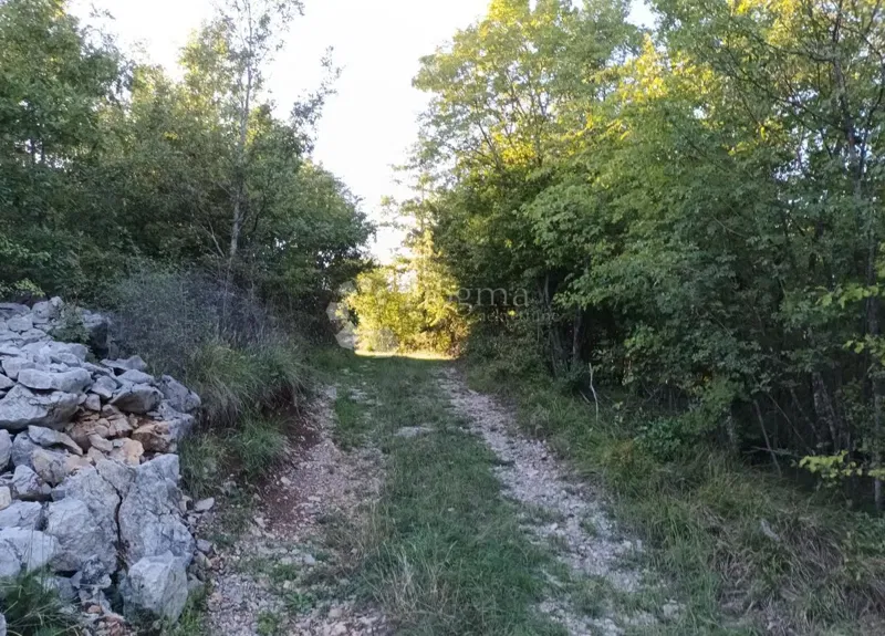 Mezőgazdasági terület Kastav, 9.199m2 – 3