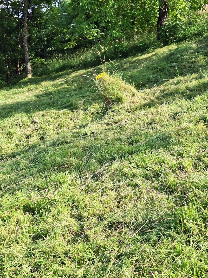 VRBOVSKO - GRADJEVINSKI TEREN OD 544m2, MOŽE I "A" FRAME KUĆA – 2