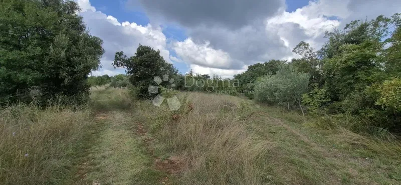 Agricultural land Kavran, Marčana, 1.296m2 – 3