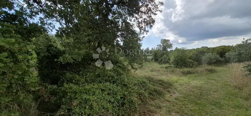 Agricultural land Kavran, Marčana, 1.173m2 – 2