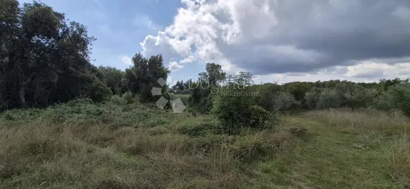 Agricultural land Kavran, Marčana, 1.173m2 – 3