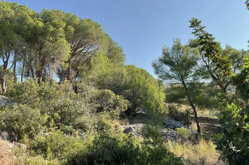 Land with a sea view – 3