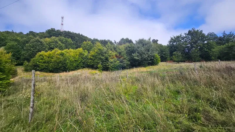 Terreno non edificabile Zlobin, Bakar, 7.470m2 – 2
