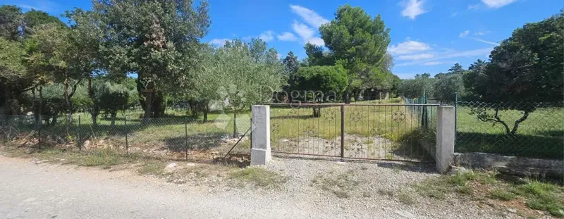 Agricultural land Barbariga, Vodnjan, 547m2 – 2