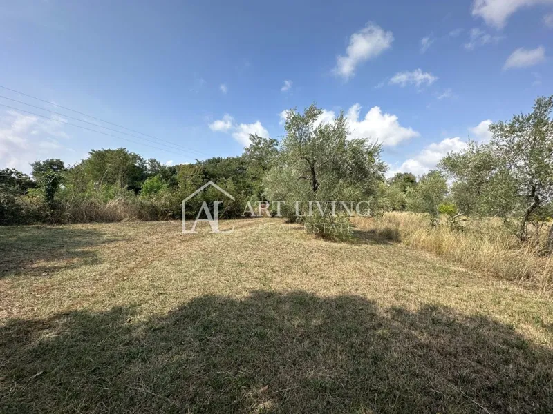 Umag, okolica - Kuća za renovaciju sa prostranom okućnicom od 2000 m2 – 2