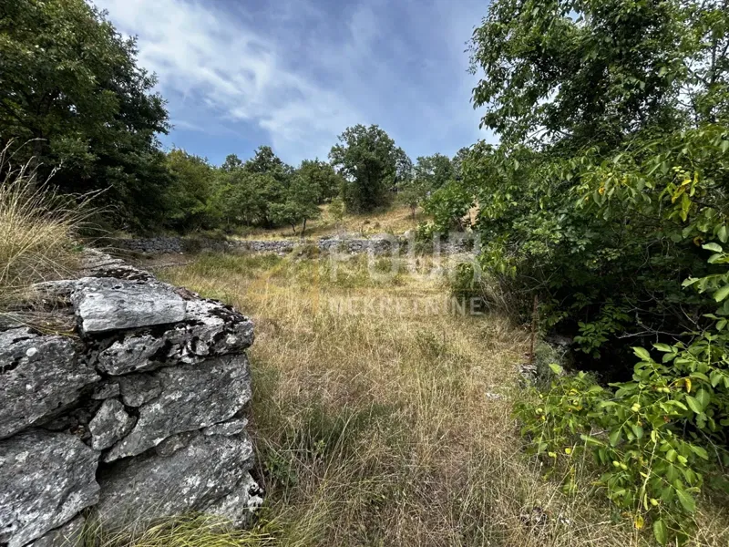 Pozemok Kastav, 5.250m2 – 3