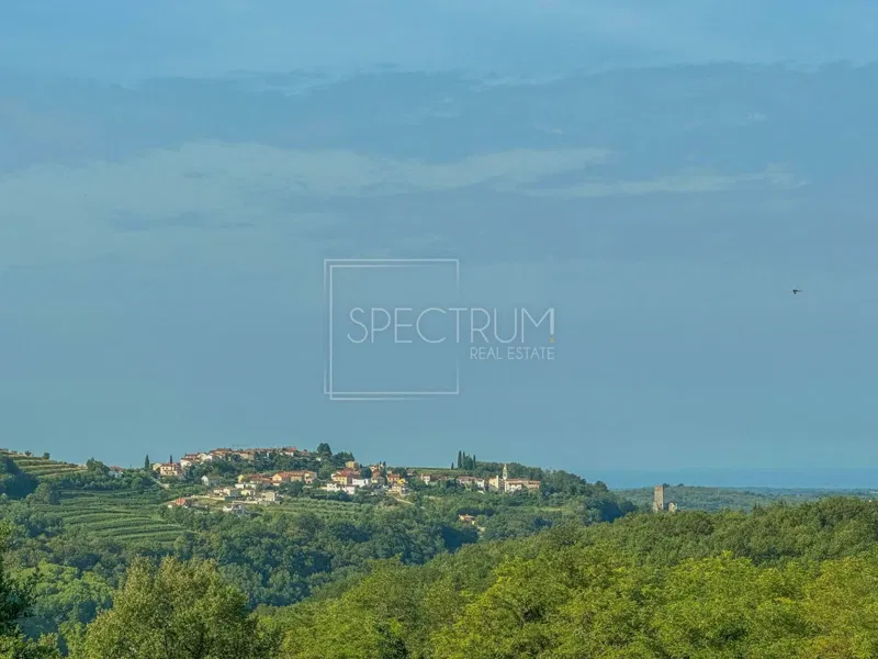 Buje area, renovated stone house with a beautiful view – 2