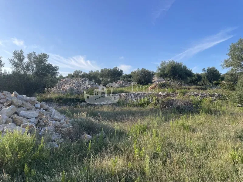 Telek Krk – 3
