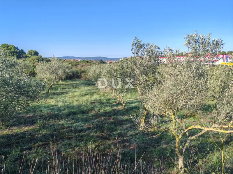 ZADAR, RED HOUSES - Building land in the business zone! – 3