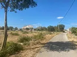 Építési telek Pridraga, Novigrad, 726m2 – 2