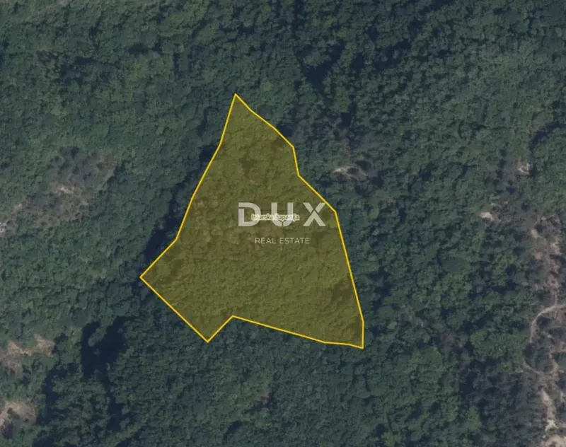 ISTRA, PAZIN, CEROVLJE – Šuma 12.020 m²