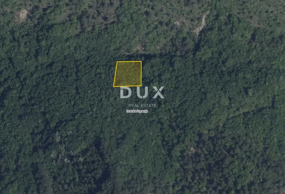 ISTRIEN, PAZIN, CEROVLJE – Grundstück 1.075 m², Wald