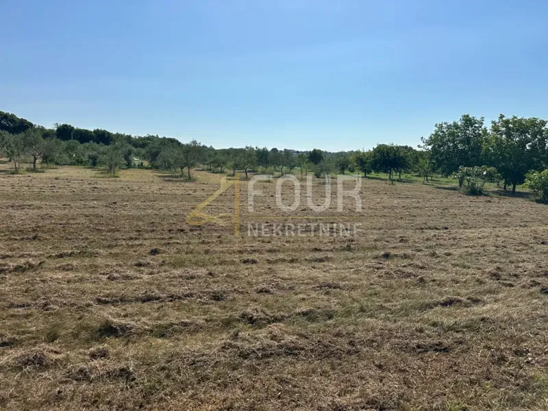 Land Poreč, 5.716m2 – 2