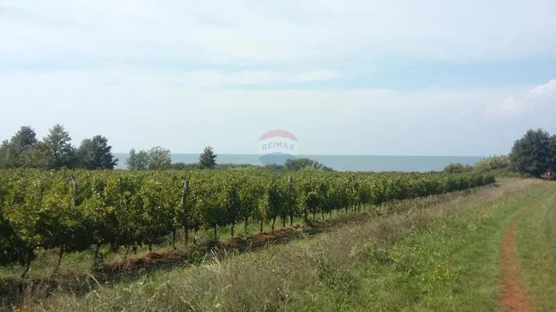 Non-structural plot Lovrečica, Umag, 3.156m2 – 3