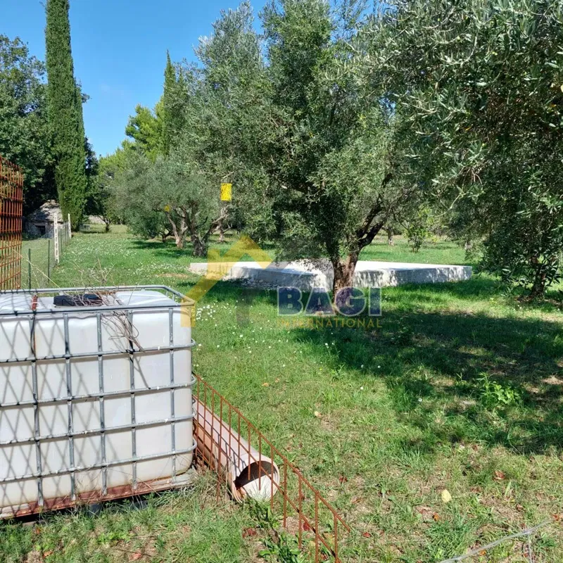 IN VENDITA-ISTRIA-JURŠIĆI-ULIVI 2037m2 – 3