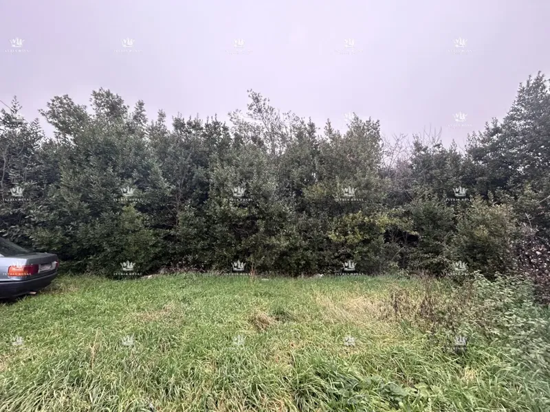 Istria, Materada, agricultural plot, forest, vineyard 25,264 m2 – 2