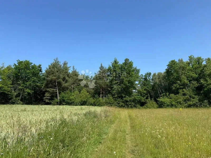 Terreno agricolo Smiljansko Polje, Gospić - Okolica, 6.000m2 – 2