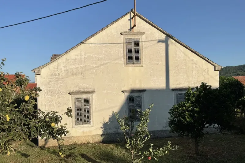 House in a Vineyard Area – 2