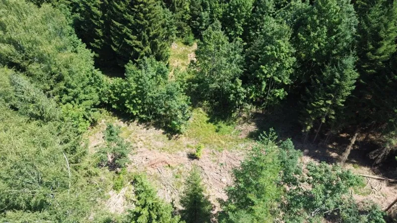 Terreno Kupjak – 2