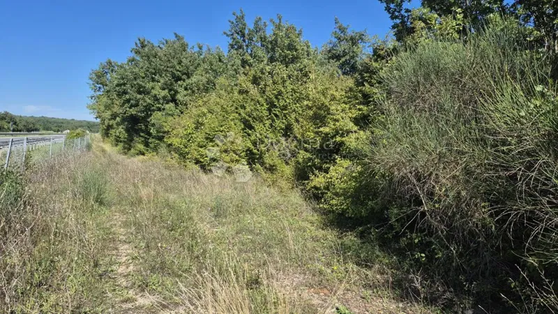 Erdőterület az Isztriai-félsziget mellett 7505 m2 – 2