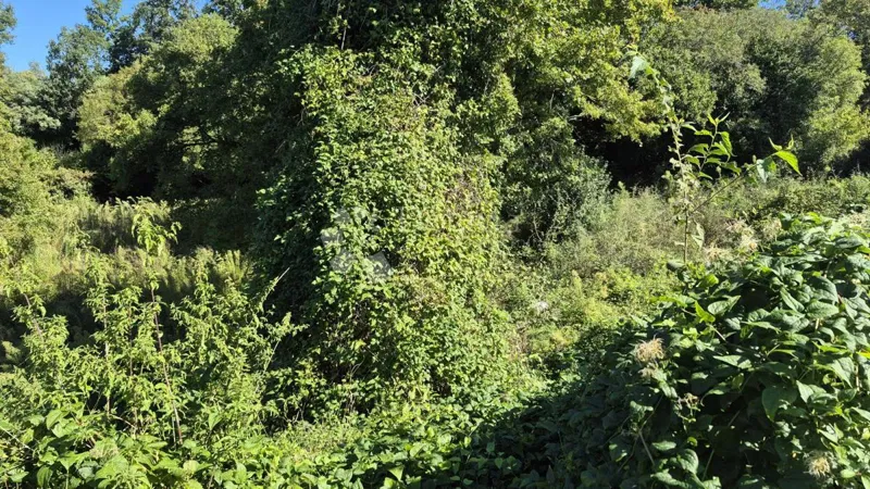 Sprzedam działkę rolną o powierzchni 1636 m2 w Cukrići – 2