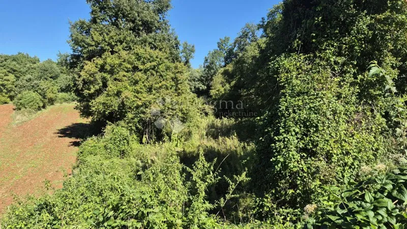 Sprzedam działkę rolną o powierzchni 1636 m2 w Cukrići – 3