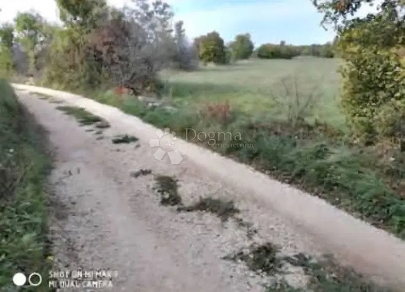 Agricultural land Bartići, Labin, 6.651m2 – 2