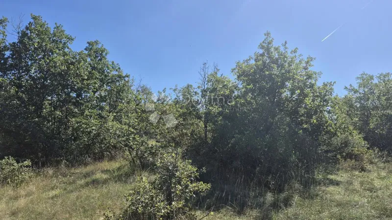 Terreno agricolo Čabrunići, Svetvinčenat, 2.913m2 – 2