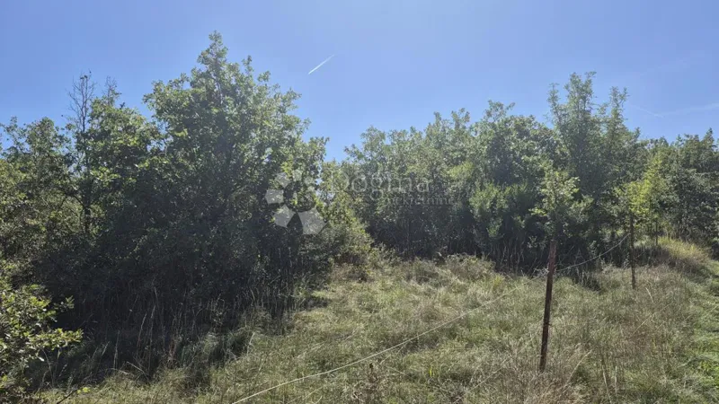 Terreno agricolo Čabrunići, Svetvinčenat, 2.913m2 – 3