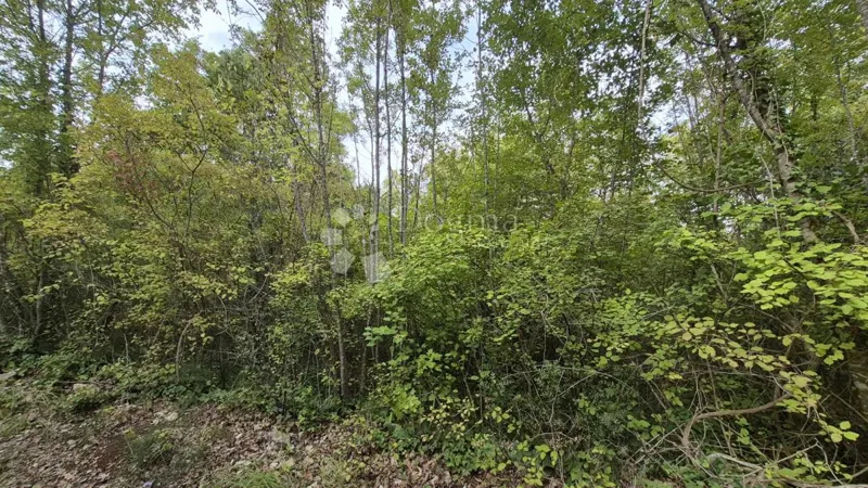 Agricultural land 11,980 m2, 600 m from the sea – 3