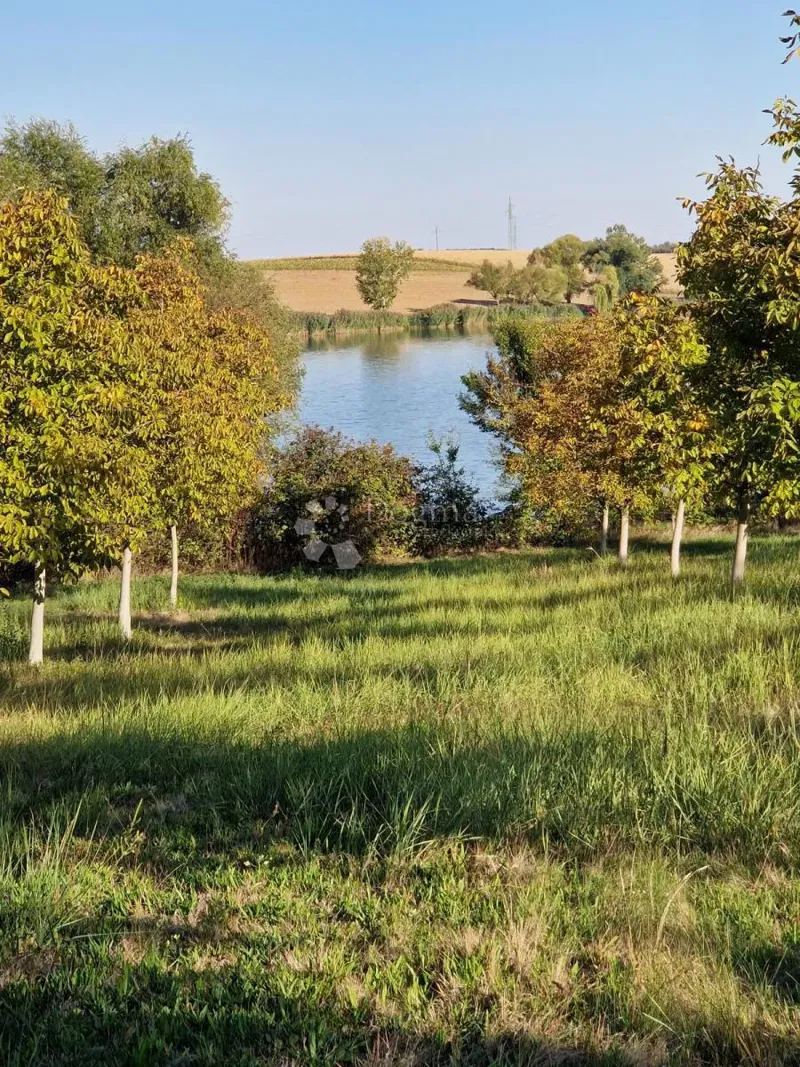 Mezőgazdasági terület Đakovo, 40.557m2